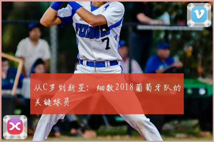 从C罗到新星：细数2018葡萄牙队的关键球员