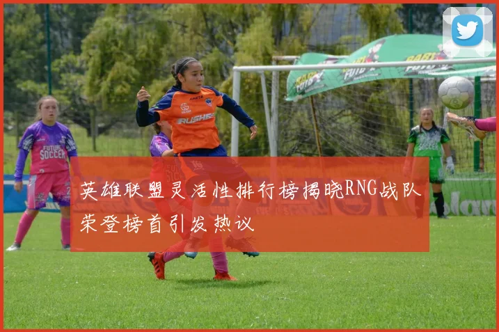 英雄联盟灵活性排行榜揭晓RNG战队荣登榜首引发热议