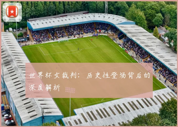 世界杯女裁判:历史性登场背后的深度解析