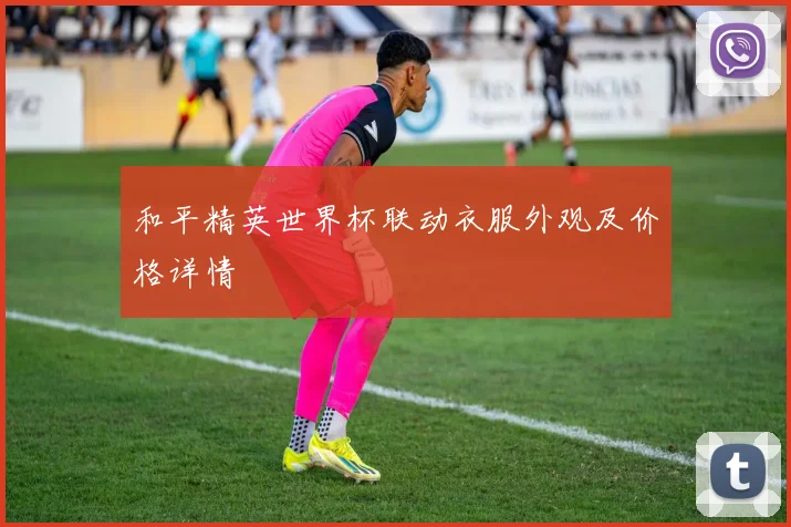 和平精英世界杯联动衣服外观及价格详情