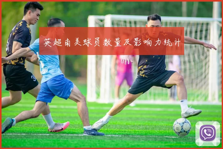 英超南美球员数量及影响力统计