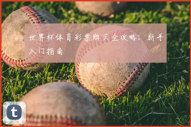 世界杯体育彩票购买全攻略:新手入门指南