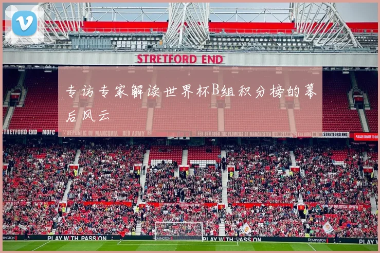 专访专家解读世界杯B组积分榜的幕后风云