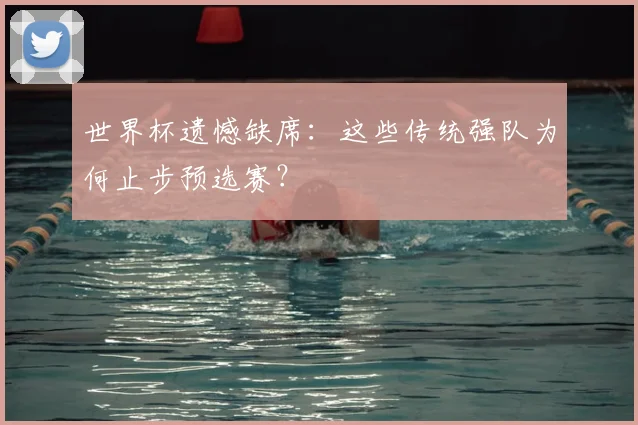 世界杯遗憾缺席:这些传统强队为何止步预选赛?