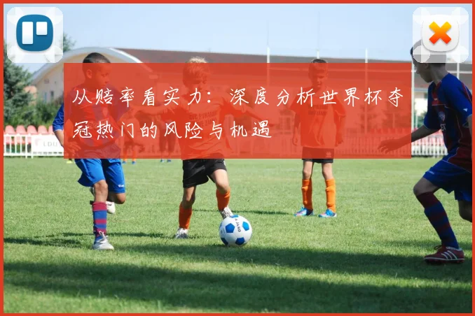 从赔率看实力：深度分析世界杯夺冠热门的风险与机遇