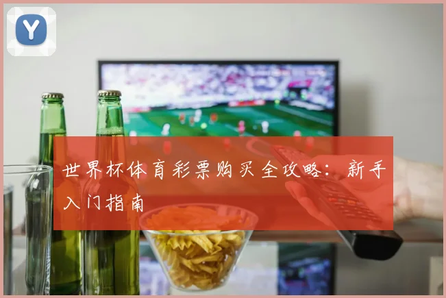 世界杯体育彩票购买全攻略:新手入门指南
