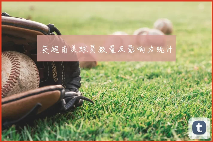 英超南美球员数量及影响力统计